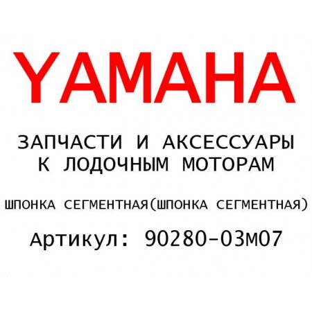 ШПОНКА СЕГМЕНТНАЯ