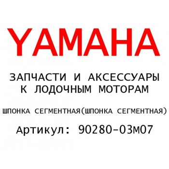 ШПОНКА СЕГМЕНТНАЯ