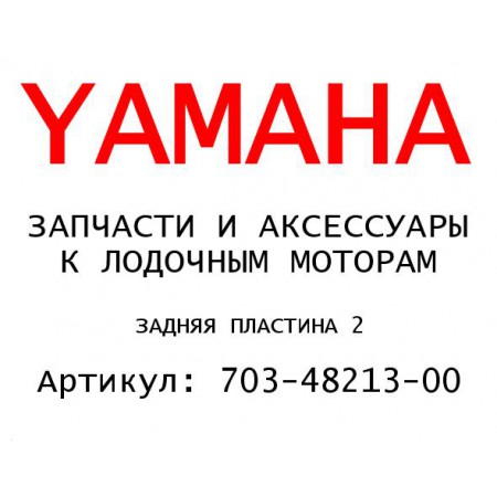 ЗАДНЯЯ ПЛАСТИНА 2