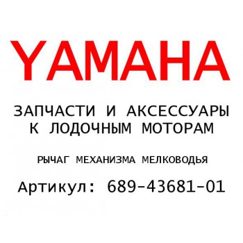 РЫЧАГ МЕХАНИЗМА МЕЛКОВОДЬЯ