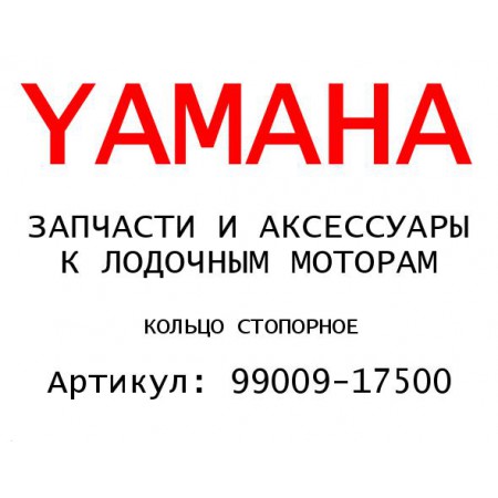 КОЛЬЦО СТОПОРНОЕ