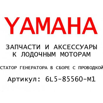 СТАТОР ГЕНЕРАТОРА В СБОРЕ С ПРОВОДКОЙ