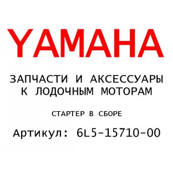 СТАРТЕР В СБОРЕ