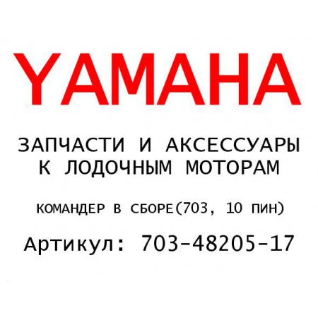 КОМАНДЕР В СБОРЕ(703, 10 ПИН)