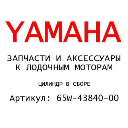ЦИЛИНДР В СБОРЕ