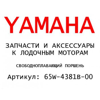 СВОБОДНОПЛАВАЮЩИЙ ПОРШЕНЬ