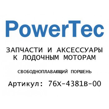 
                                                                                            СВОБОДНОПЛАВАЮЩИЙ ПОРШЕНЬ
                                            