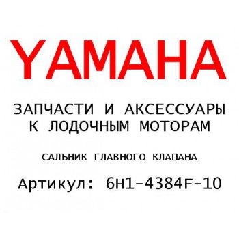 САЛЬНИК ГЛАВНОГО КЛАПАНА