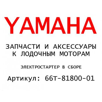 ЭЛЕКТРОСТАРТЕР В СБОРЕ