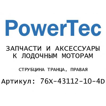СТРУБЦИНА ТРАНЦА, ПРАВАЯ