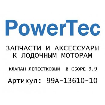 КЛАПАН ЛЕПЕСТКОВЫЙ  В СБОРЕ 9.9