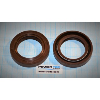 САЛЬНИК