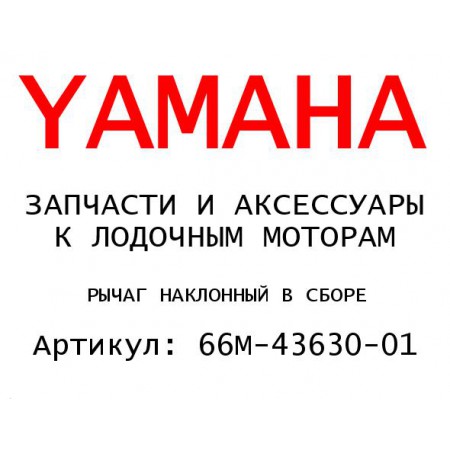 РЫЧАГ НАКЛОННЫЙ В СБОРЕ
