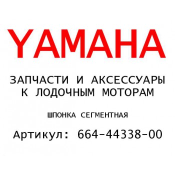 ШПОНКА СЕГМЕНТНАЯ