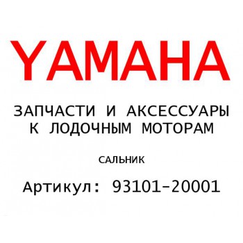 САЛЬНИК