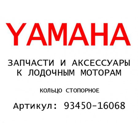 КОЛЬЦО СТОПОРНОЕ