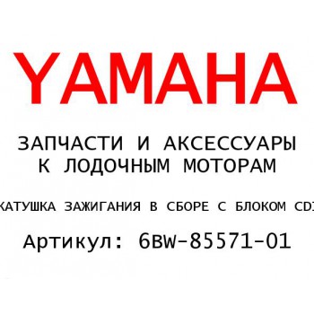 КАТУШКА ЗАЖИГАНИЯ В СБОРЕ С БЛОКОМ CDI