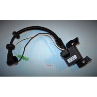 КАТУШКА ЗАЖИГАНИЯ В СБОРЕ С БЛОКОМ CDI