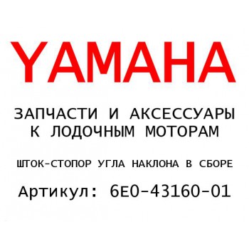 ШТОК-СТОПОР УГЛА НАКЛОНА В СБОРЕ