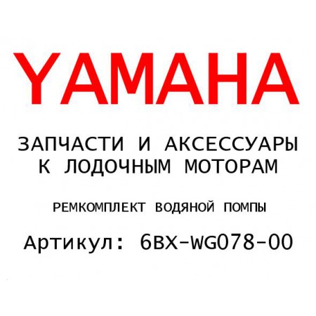 РЕМКОМПЛЕКТ ВОДЯНОЙ ПОМПЫ