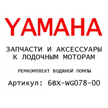 РЕМКОМПЛЕКТ ВОДЯНОЙ ПОМПЫ