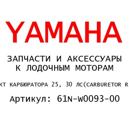 РЕМКОМПЛЕКТ КАРБЮРАТОРА 25, 30 ЛС