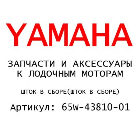 ШТОК В СБОРЕ