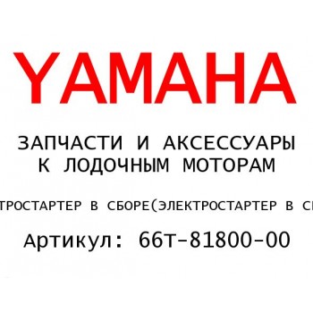 ЭЛЕКТРОСТАРТЕР В СБОРЕ