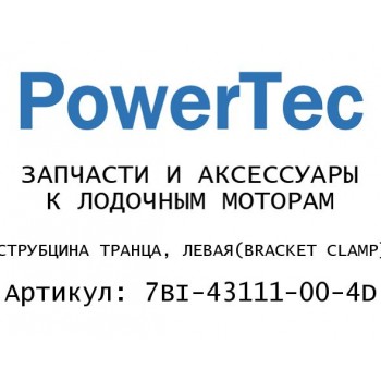 СТРУБЦИНА ТРАНЦА, ЛЕВАЯ