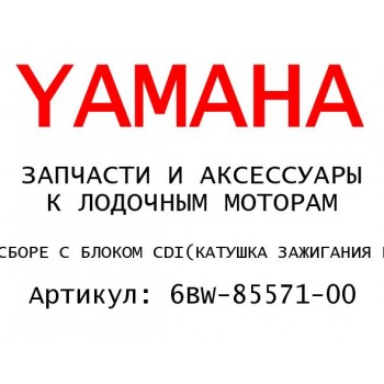 КАТУШКА ЗАЖИГАНИЯ В СБОРЕ С БЛОКОМ CDI