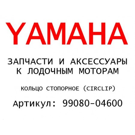 КОЛЬЦО СТОПОРНОЕ 